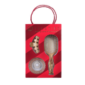 Holiday Brush Gift Set